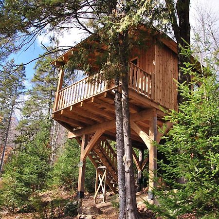 Les Cabanes Du Trappeur Wentworth-Nord Eksteriør billede